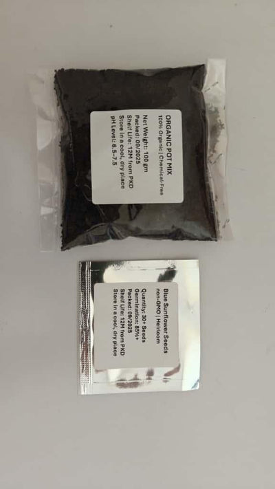 Blue Flame Sunflower Seeds + 100 Grams Organic Pot Mix Free